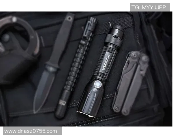 V5战术深度剖析与对手策略全面对比分析