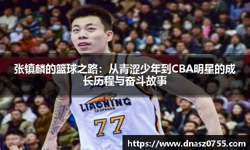 BB贝博ballbet登录人口