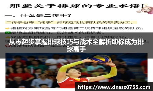 从零起步掌握排球技巧与战术全解析助你成为排球高手