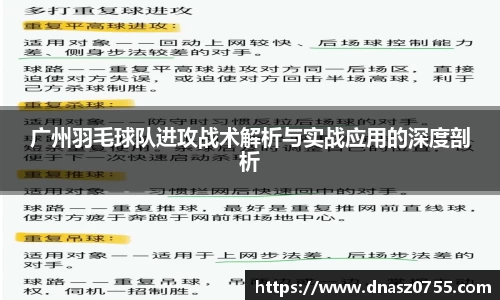 广州羽毛球队进攻战术解析与实战应用的深度剖析